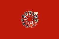 滦平县回收红酒